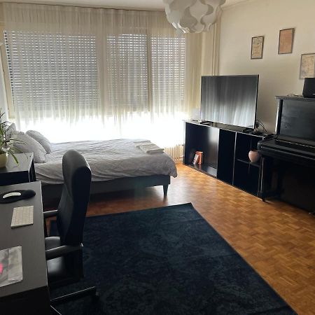 2 Bedroom Flat Near Nations And In The Center Женева Екстериор снимка