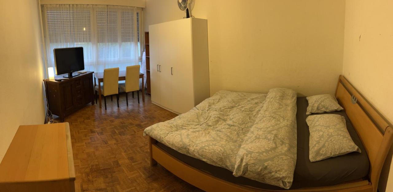 2 Bedroom Flat Near Nations And In The Center Женева Екстериор снимка