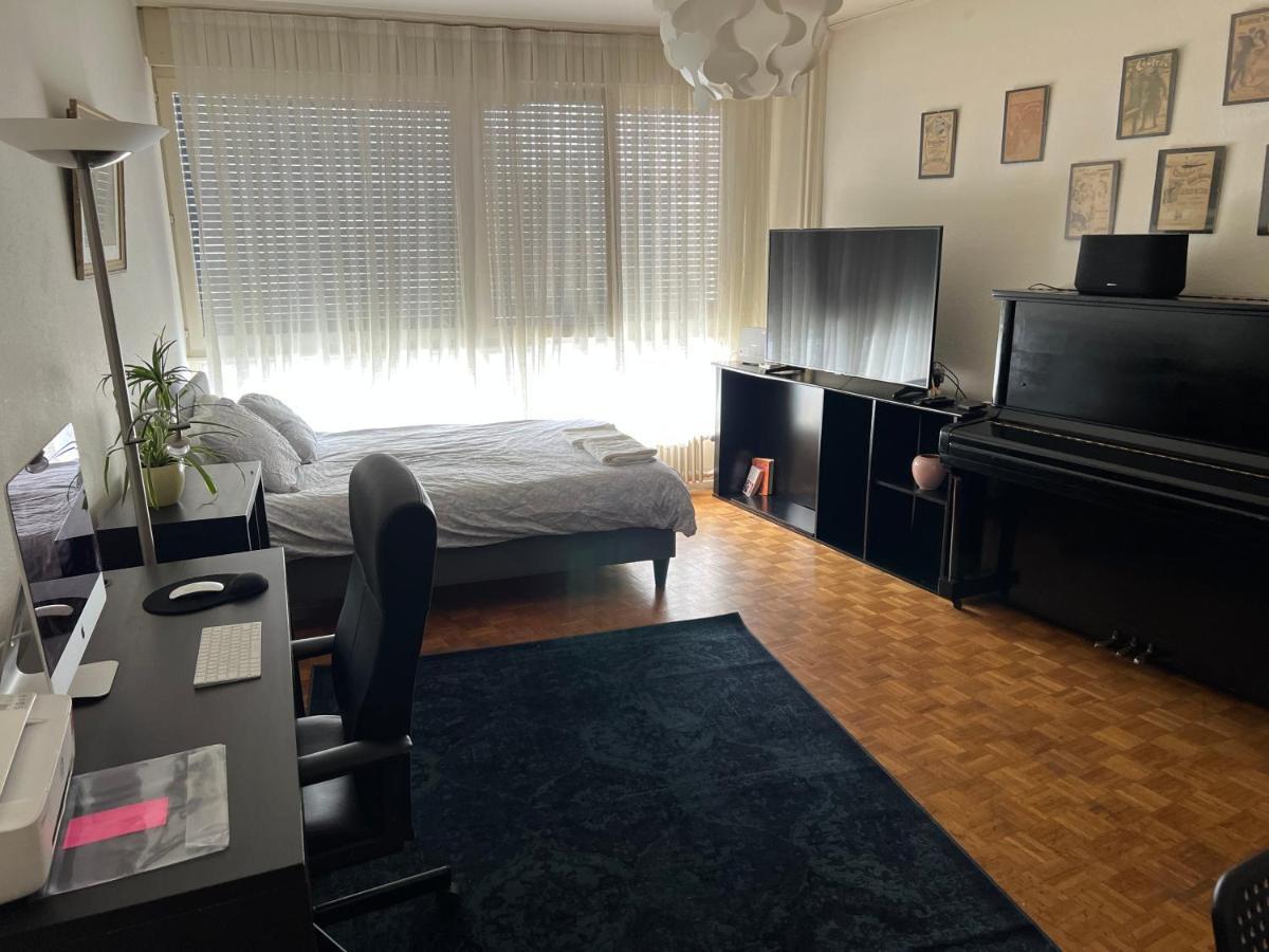 2 Bedroom Flat Near Nations And In The Center Женева Екстериор снимка